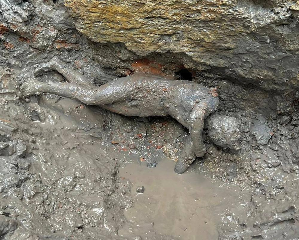 Italia descubre