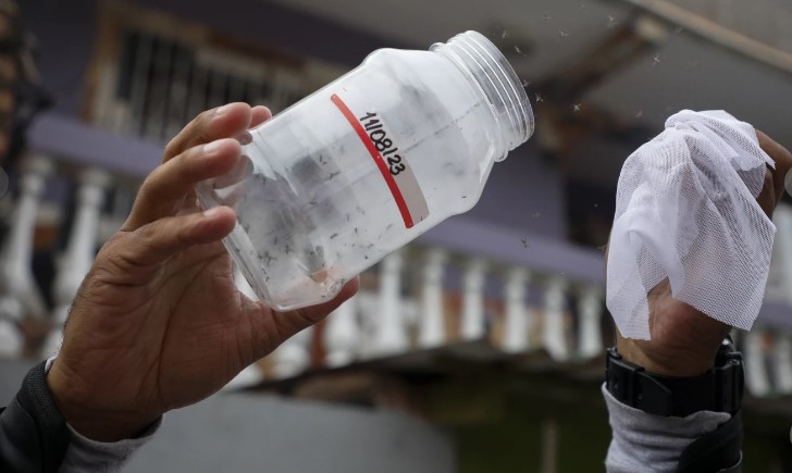 Dengue
