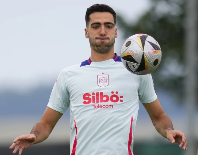 Debut Merino