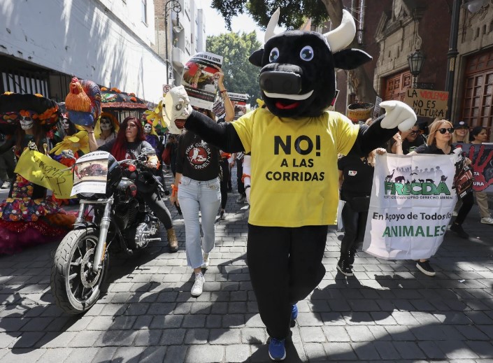 Corrida toros