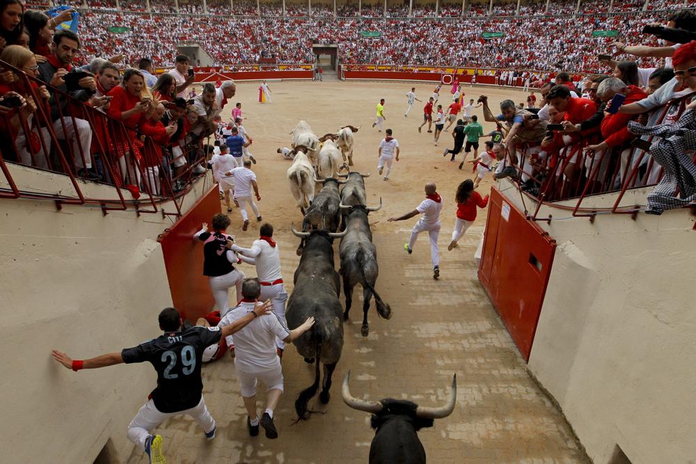 Deja corrida de toros